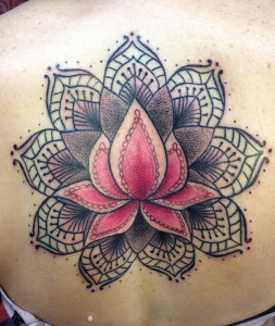 mendi lotus